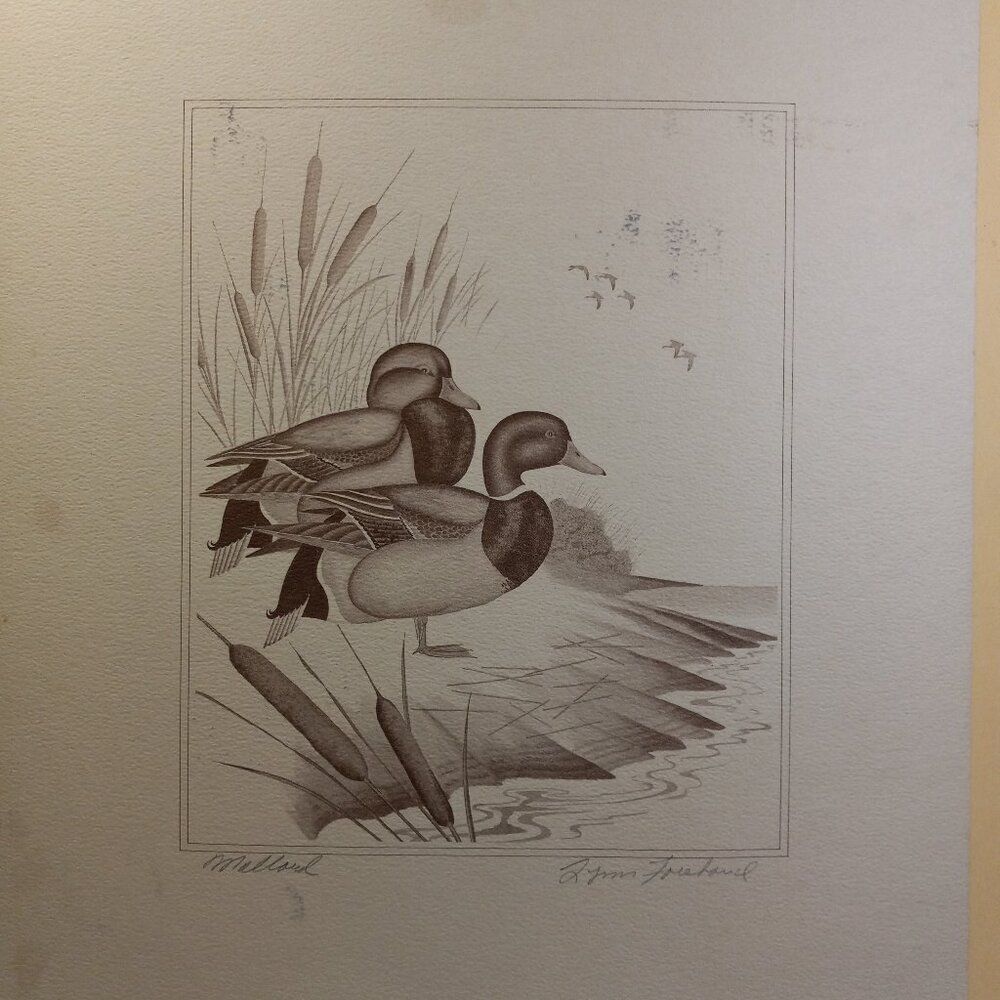 Vintage American Waterfowl Etching/Print Lynn Forehand 2 of 5 Cottagecore… - Picture 1 of 6